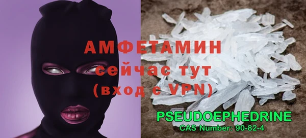 МДПВ Снежногорск